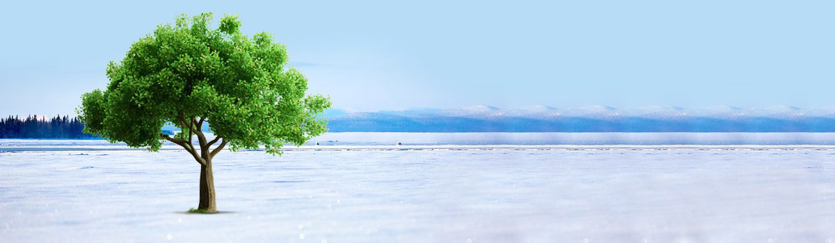 REFCOM : refrigerazione e climatizzazione